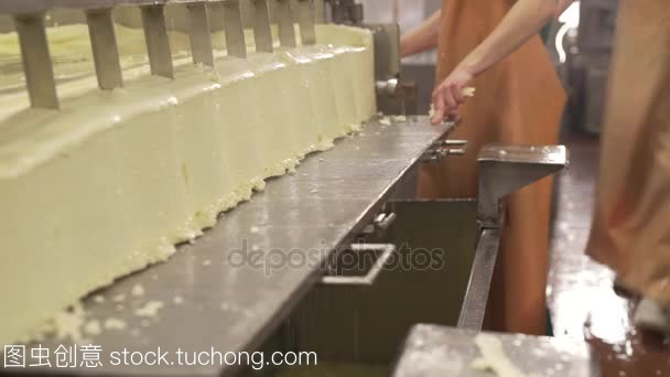 现代化生产线 重塑牛奶产品的未来