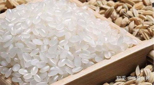 食品生产许可证注销全流程指南