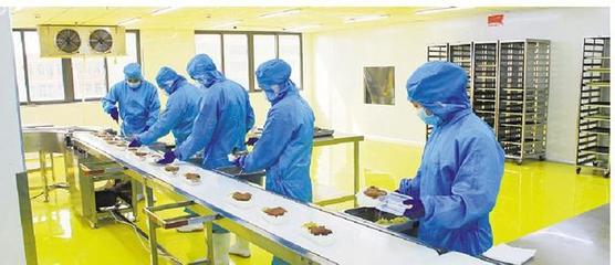 李钦辉调研总部型企业疫情防控和复工复产情况，深入食品生产企业指导